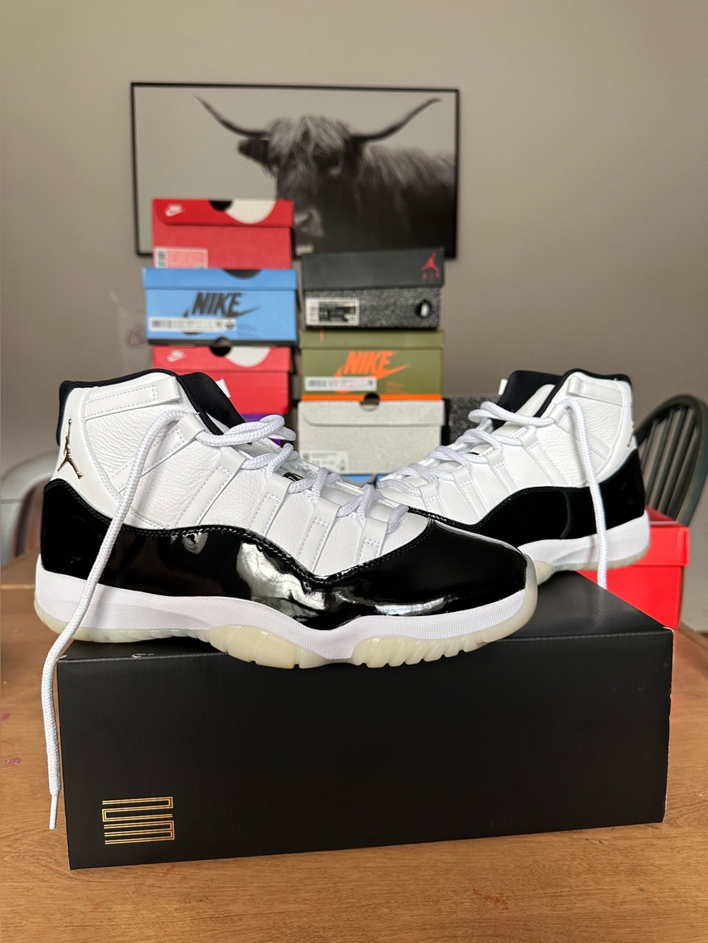 Jordan 11 Retro- DMP Gratitude (2023) (VNDS)